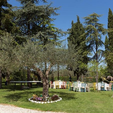 Bed&Breakfast Il Frantoio ミザーノ・アドリアーティコ エクステリア 写真