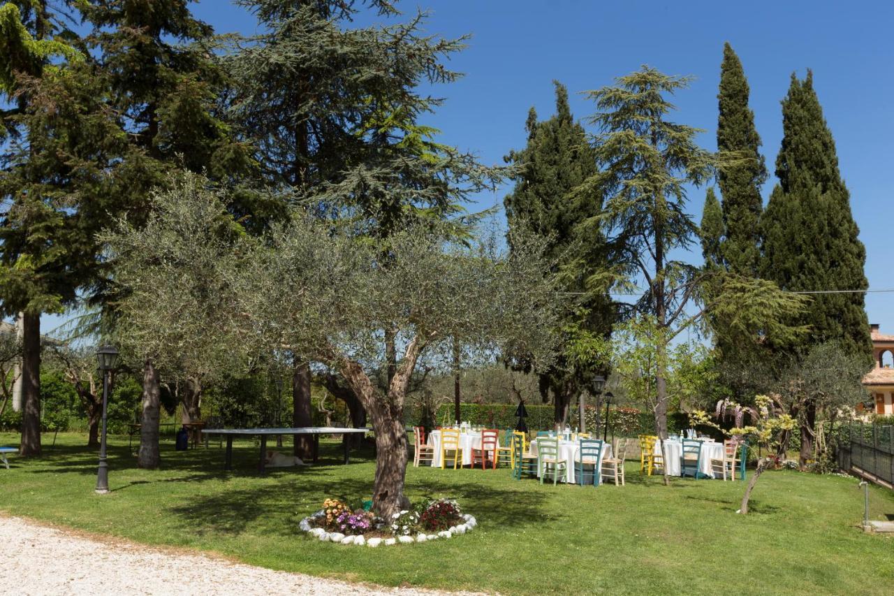 Bed&Breakfast Il Frantoio ミザーノ・アドリアーティコ エクステリア 写真